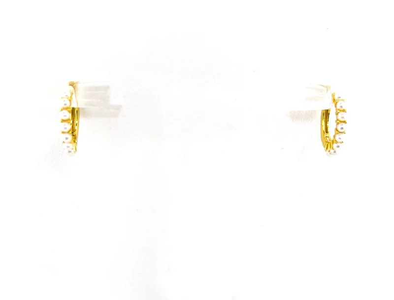 Huge Savings On Premium Jewelry Styles "AMI" Hoop Huggie