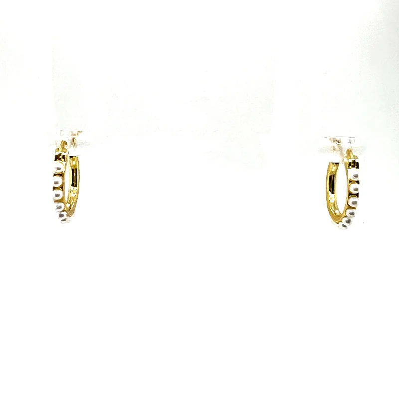 Flash Sale On Stunning Jewelry – Don't Miss Out Vera Huggie Hoop Earrings